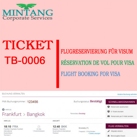 Flight reservation for visa