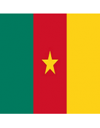 Visa Cameroun
