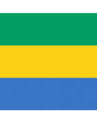 Visa Gabon